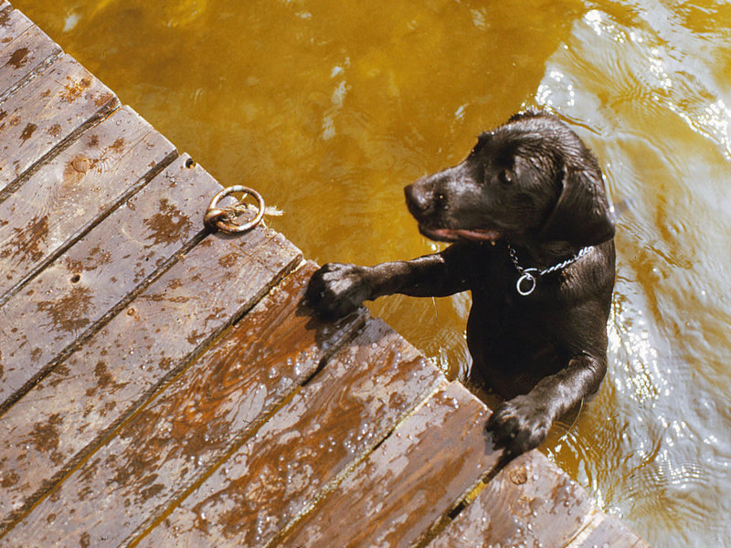 Photos 601 800 Monaghan 2008 12 09  746